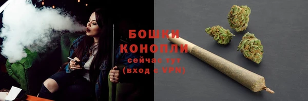 сатива Балабаново