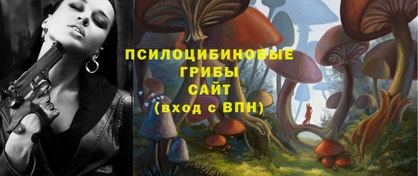сатива Балабаново