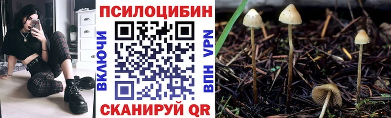 ОМГ ОМГ вход  Иноземцево  Галлюциногенные грибы мухоморы 